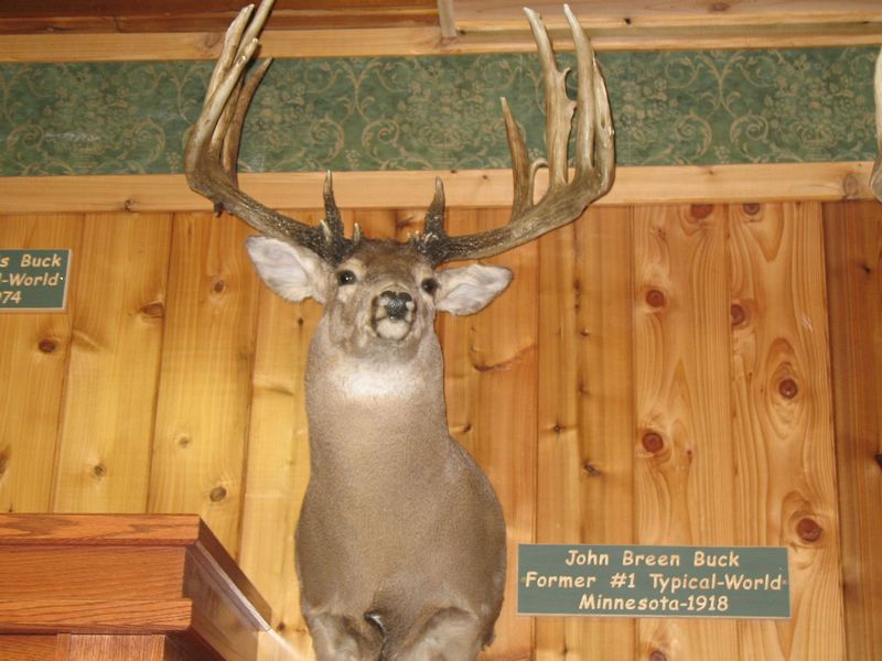 DropTine Bucks Great Bucks, Trophies, Sheds, Hunting Adventures & more...