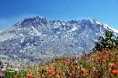 Mt St Helens crater and dome 8-14-2012 near Johnston Ridge