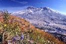 Mt St Helens Hiking Boundary Trail 8-14-2012 near Johnston Ridge