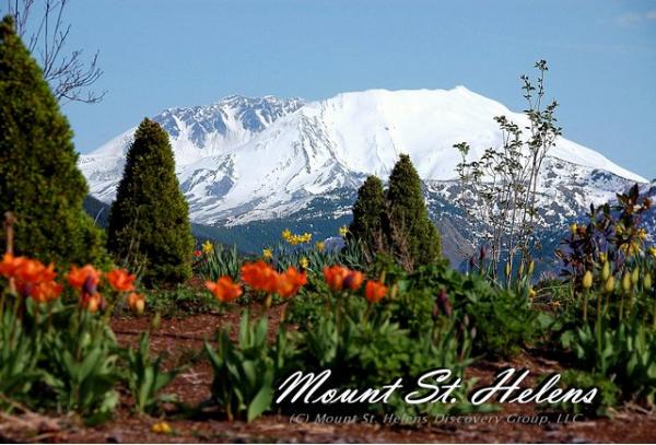 Mt. St. Helens From Forest Learning Center 5-14-2009