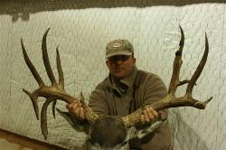 Hammer Head2 Buck
