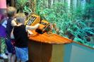 Interactive Exhibits